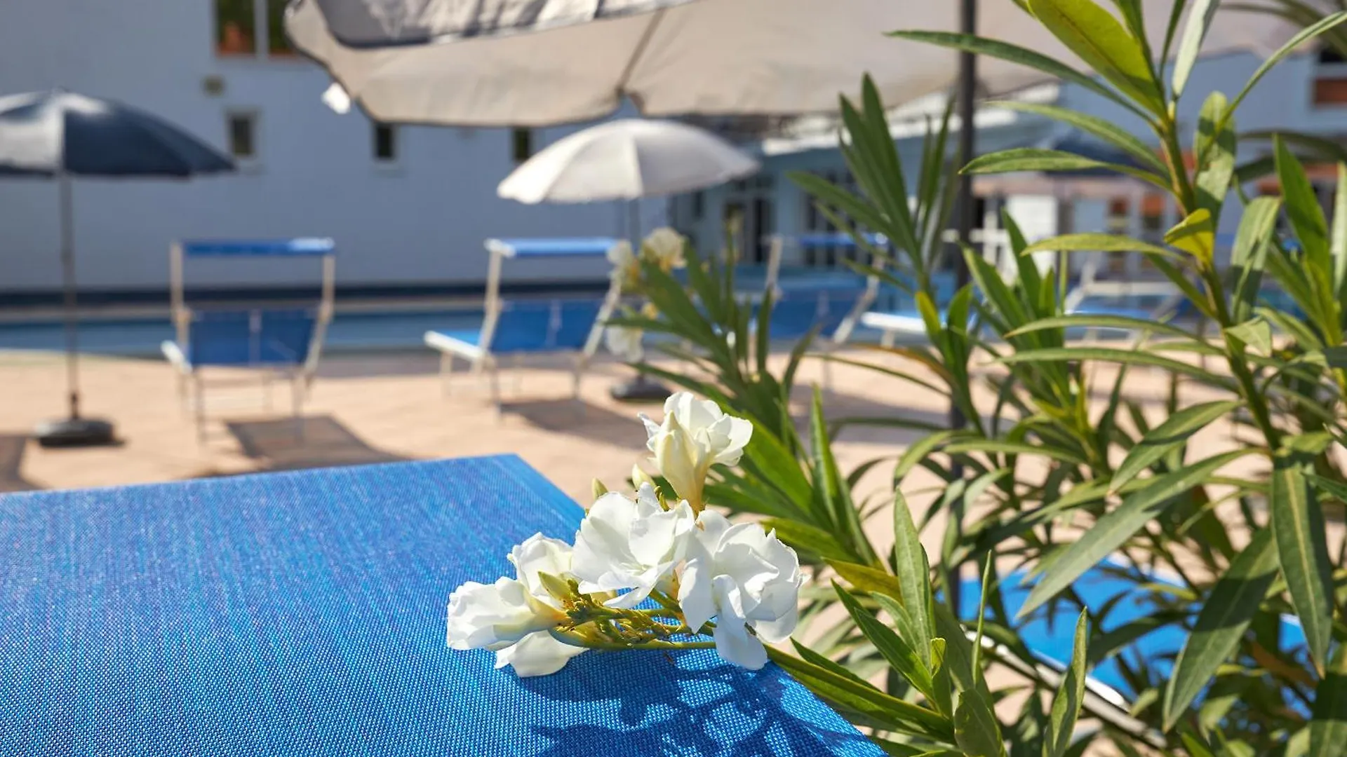 Hotel Silver Hajdúszoboszló Ungaria